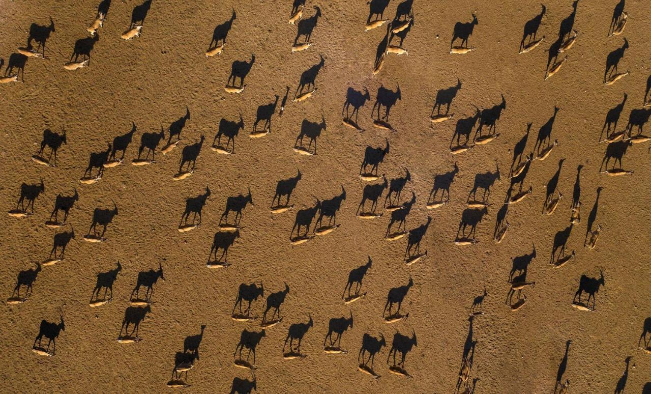 Anantara Sir Bani Yas Island Al Yamm Villa Resort Da'sah Exterior photo